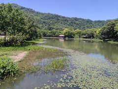 -八卦田遗址公园