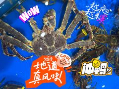 帝王蟹-盒马鲜生(杭州运河上街店)