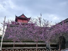 -楚望台遗址公园