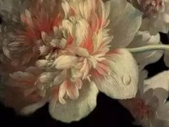 -杨梅红艺术教育(水贝教学中心)