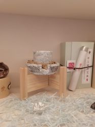 -安吉拉青春化管理中心