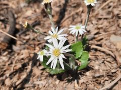 -沈阳辉山风景区