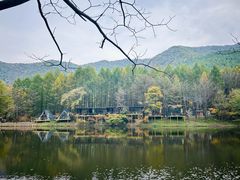 -龙道沟景区