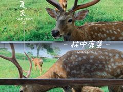 -良渚古城遗址公园