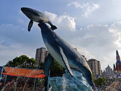 -海合安武汉极地海洋公园