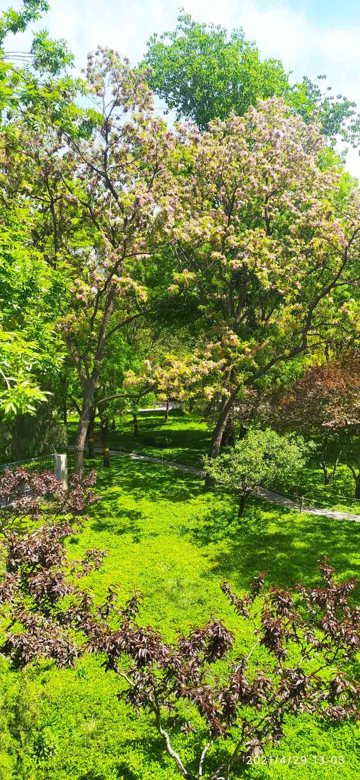 香河园公园-"最美不过人间四月天!这个季节最棒,没有.