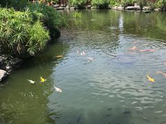 -大门水乡·顺德菜