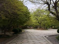 -庐山风景名胜区-东林大佛