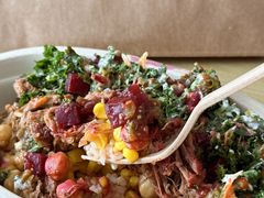 -油梨树AVOCADO TREE(顺义新国展店)