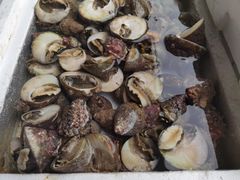 -外伶仃岛海鲜市场