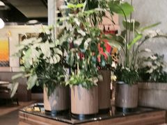 -半秋山西餐厅(巴南万达广场店)