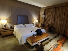-西安赛瑞喜来登大酒店