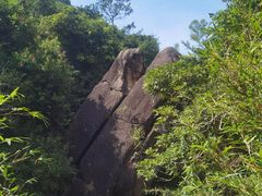 -广州白江湖森林公园