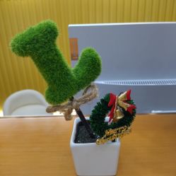 -杭州医巢医疗美容