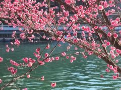 -望江楼公园
