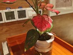 -韩香福烤肉庄园(荣成店)