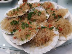 蒸扇贝-小贝壳酒楼(经九路店)