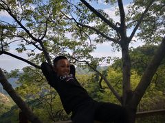 -大岭沟猕猴桃谷风景区