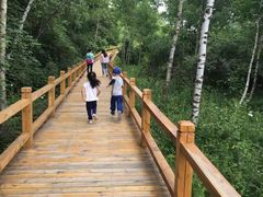 -塞罕坝国家级自然保护区