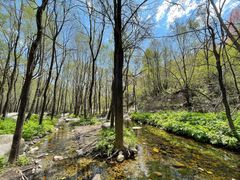 -玉渡山自然风景区