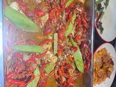 -京悦南门涮羊肉·羊蝎子火锅(田林路店)