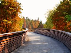 -昆山城市生态森林公园