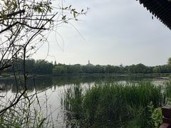 -北坞公园