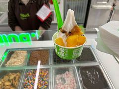 -Salud撒露欧洲冻酸奶(五道口购物中心店)