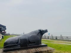 -观潮胜地公园