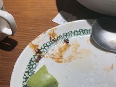 -三强鸽子(胜利路店)