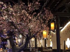 -绿茶餐厅(朝阳大悦城店)