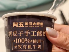 -阿五黄河大鲤鱼(英协路店)