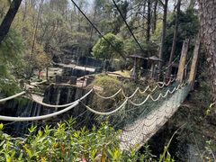 -千岛湖东南湖区