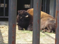 -石家庄市动物园