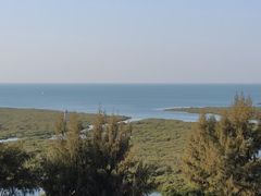 -北海金海湾红树林生态旅游区