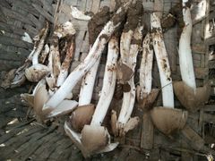-重庆金爪爪特色干锅(大竹林直营店)