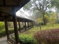 -山湖温泉