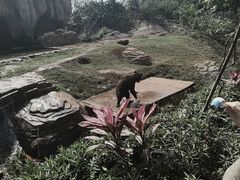 -海南热带野生动植物园