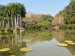 -中国科学院西双版纳热带植物园