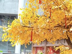 -阿大排档(长春这有山店)