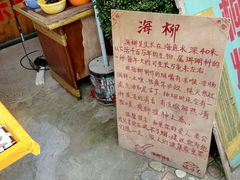 -宋井风景区