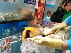 水产区-盒马鲜生(曜一城店)