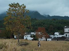 -塔川景区