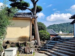 -去茶山