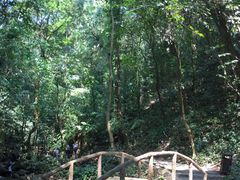 -莫里热带雨林景区