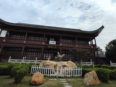 -飞来湖湿地公园