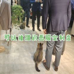点击看大图 -优刻西服西装定制(金轮国际广场店)