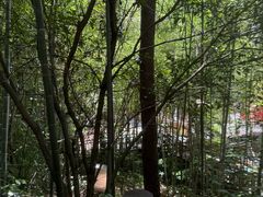 -天目湖涵田半山温泉