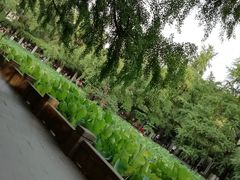 -四川大学(华西校区)