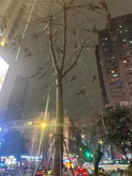 点击看大图 -真好真意SALON 接发·染·烫特色店